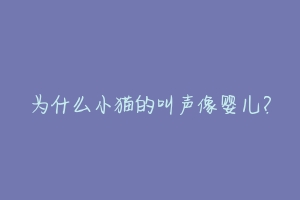 为什么小猫的叫声像婴儿?