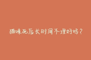 猫咪死后长时间不埋好吗?