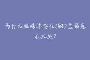 为什么猫咪非要在猫砂盆最底层拉屎?