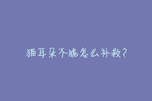 猫耳朵不脆怎么补救?