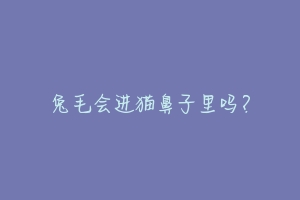 兔毛会进猫鼻子里吗？