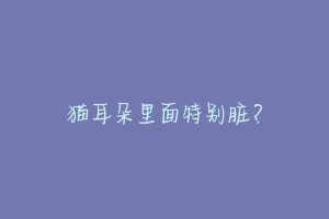 猫耳朵里面特别脏?