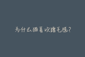 为什么猫喜欢蹭毛毯?