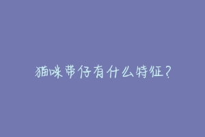 猫咪带仔有什么特征?