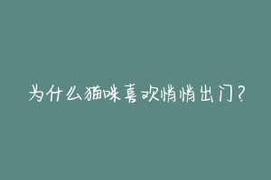 为什么猫咪喜欢悄悄出门?