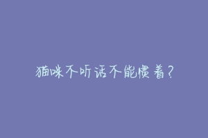 猫咪不听话不能惯着?
