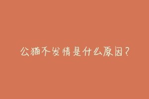 公猫不发情是什么原因?