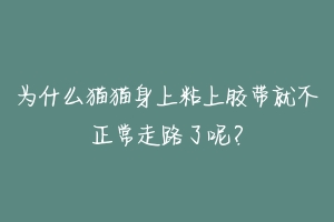 为什么猫猫身上粘上胶带就不正常走路了呢?