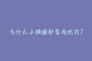 为什么小猫腹部有两坨肉?