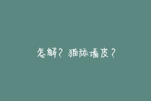 怎解?猫舔墙皮?