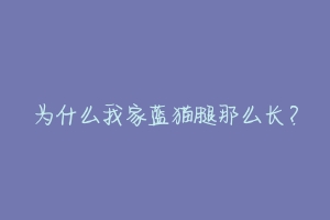 为什么我家蓝猫腿那么长?