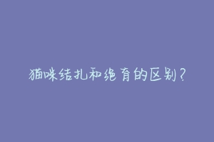 猫咪结扎和绝育的区别？