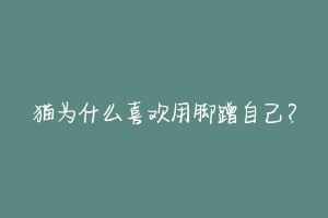猫为什么喜欢用脚蹭自己？