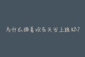 为什么猫喜欢在头发上踩奶?