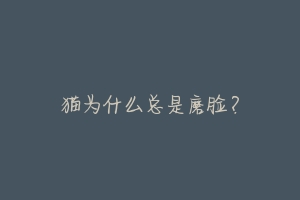 猫为什么总是磨脸?