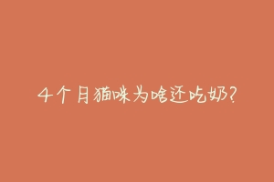 4个月猫咪为啥还吃奶？