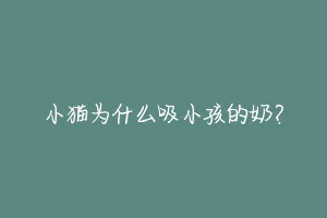 小猫为什么吸小孩的奶?