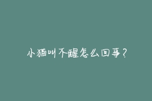 小猫叫不醒怎么回事?