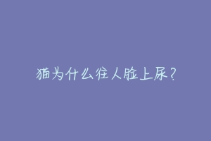 猫为什么往人脸上尿？