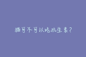 猫可不可以吃抗生素?