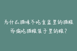 为什么猫咪不吃食盆里的猫粮而偷吃猫粮袋子里的粮?