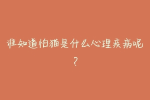 谁知道怕猫是什么心理疾病呢？