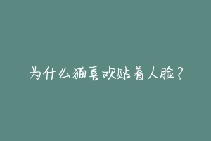 为什么猫喜欢贴着人脸？