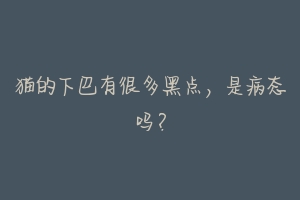 猫的下巴有很多黑点,是病态吗?