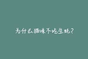 为什么猫咪不吃生蚝？