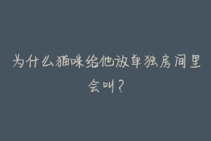 为什么猫咪给他放单独房间里会叫?