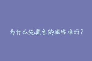为什么纯黑色的猫性格好？