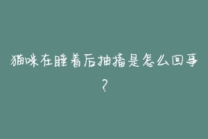 猫咪在睡着后抽搐是怎么回事?