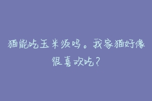 猫能吃玉米须吗。我家猫好像很喜欢吃?