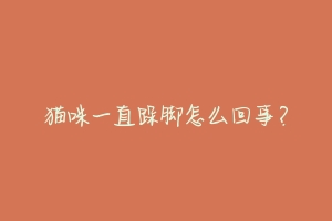 猫咪一直跺脚怎么回事？