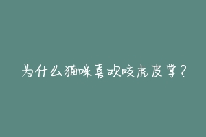 为什么猫咪喜欢咬虎皮掌?