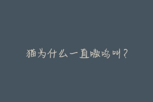 猫为什么一直嗷呜叫?