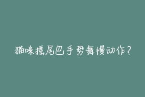 猫咪摇尾巴手势舞慢动作？