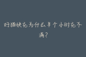 好猫快充为什么半个小时充不满？