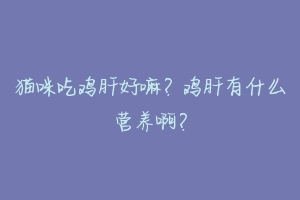 猫咪吃鸡肝好嘛?鸡肝有什么营养啊?