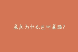 属虎为什么也叫属猫?