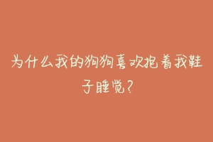 为什么我的狗狗喜欢抱着我鞋子睡觉?