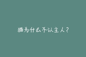 猫为什么不认主人?