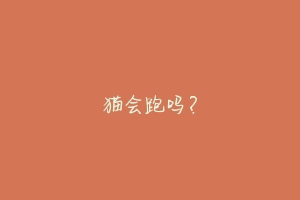 猫会跑吗?