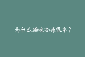 为什么猫咪洗澡很乖?