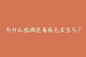 为什么给猫逆着梳毛会生气?