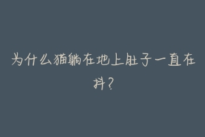 为什么猫躺在地上肚子一直在抖?