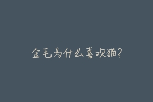 金毛为什么喜欢猫?