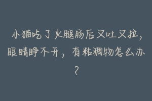 小猫吃了火腿肠后又吐又拉,眼睛睁不开,有粘稠物怎么办?