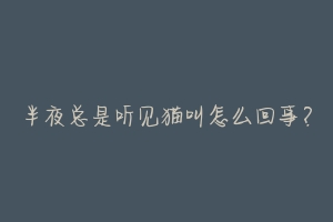 半夜总是听见猫叫怎么回事？