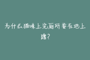 为什么猫咪上完厕所要在地上蹭?